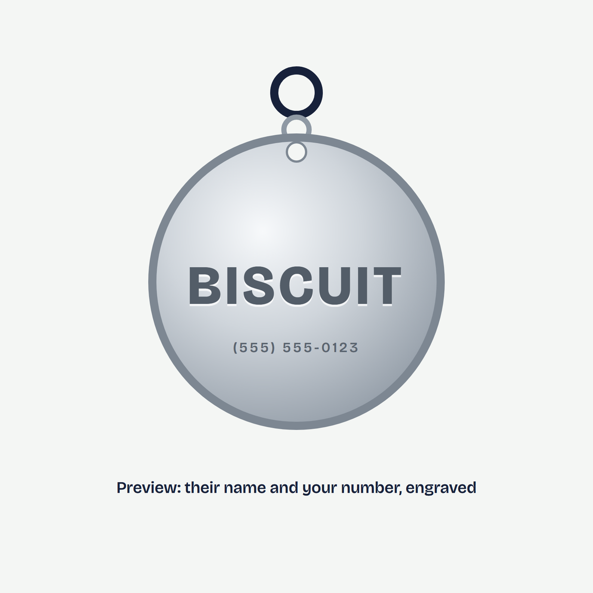 Engraved round pet ID tag, preview with the example name Biscuit